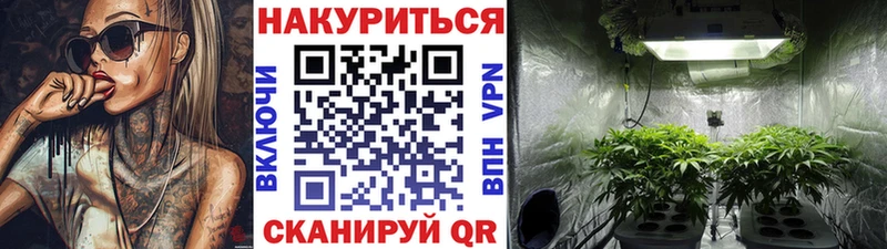 Шишки марихуана MAZAR купить сайты Гусиноозёрск